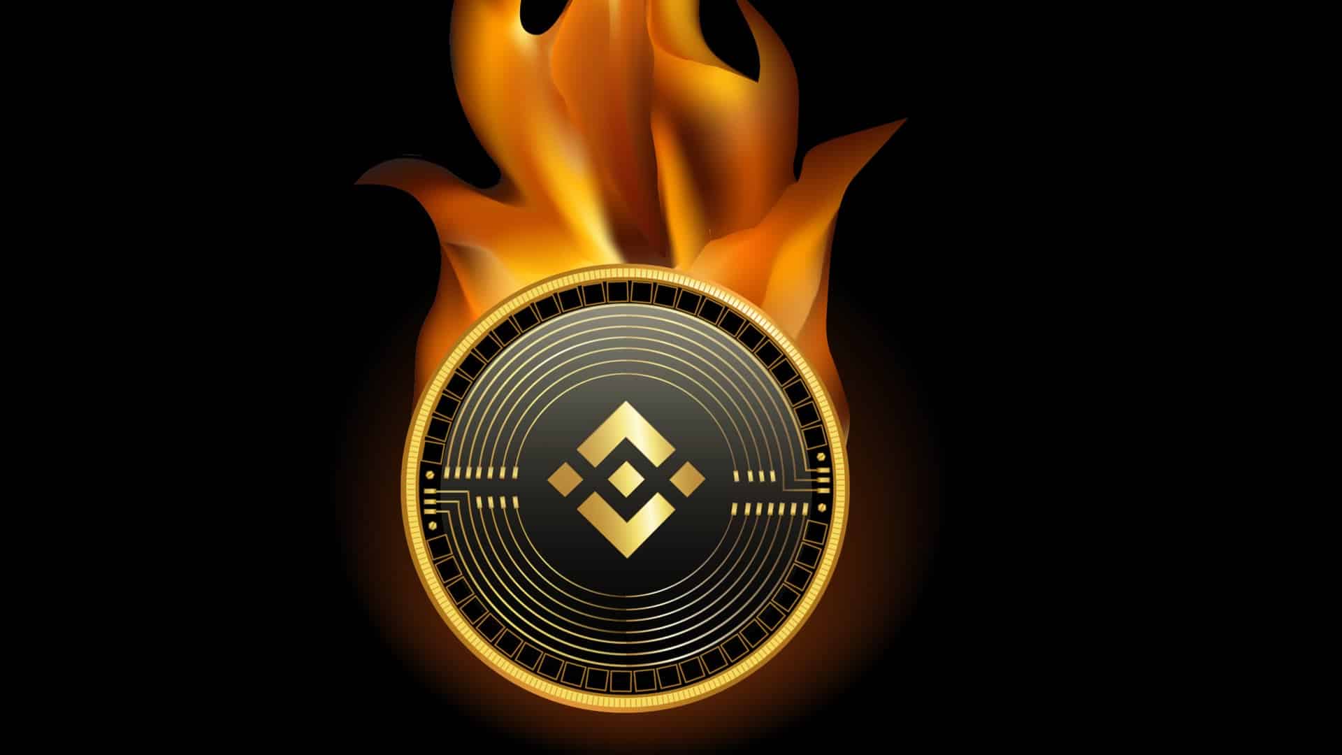 Binance coin spaľovanie minci
