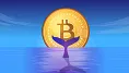 Veľryba nakupuje Bitcoin