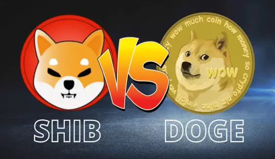 DOGE a SHIB