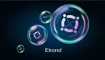 Blockchain Elrond