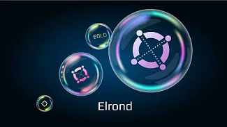 Blockchain Elrond