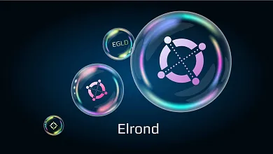 Blockchain Elrond