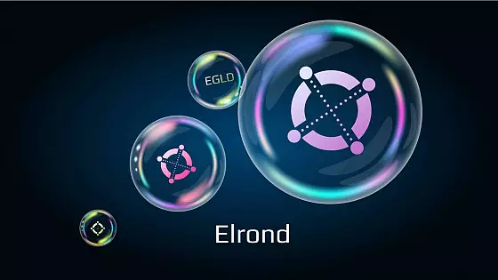 Blockchain Elrond