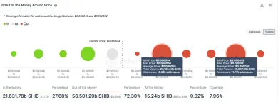Model od IntoTheBlock