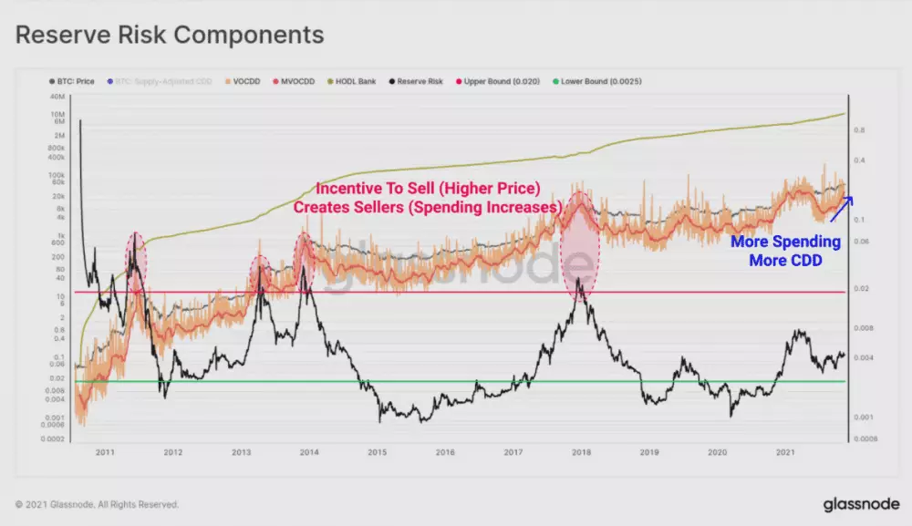 Reserve risk components