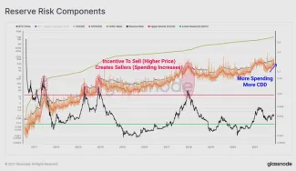 Reserve risk components