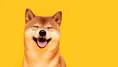 Shiba Inu