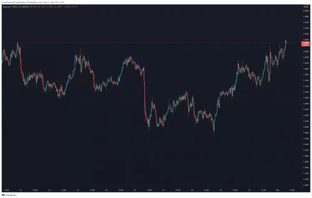 ALGO/BUSD