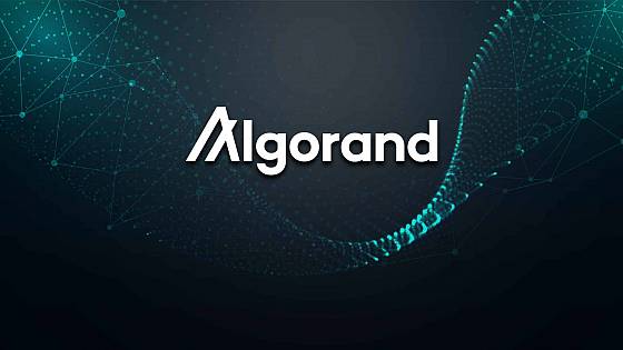 Algorand získava významný fond