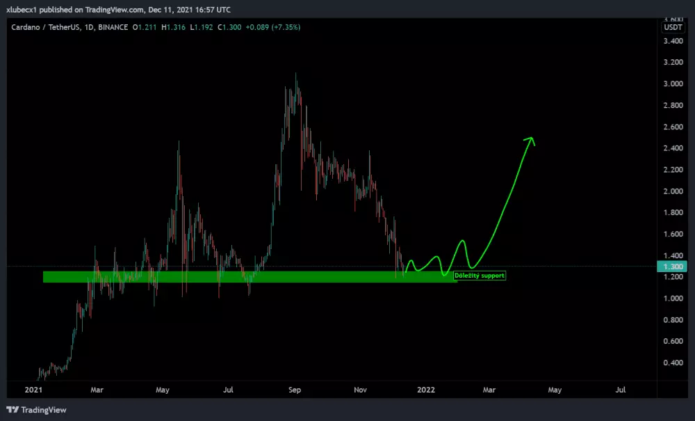 Cardano je na supporte