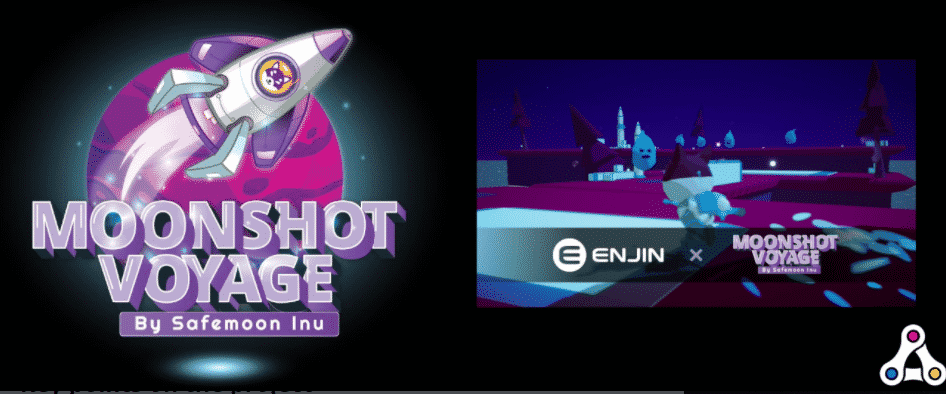 Moonshot Voyage