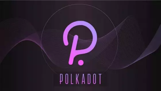 Polkadot parachainy