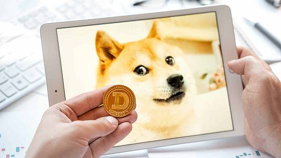 staking doge