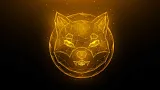 Projekt Shiba Inu