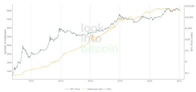 Adresy bitcoinových peňaženiek, ktoré držia aspoň 1 BTC vs. graf BTC/USD