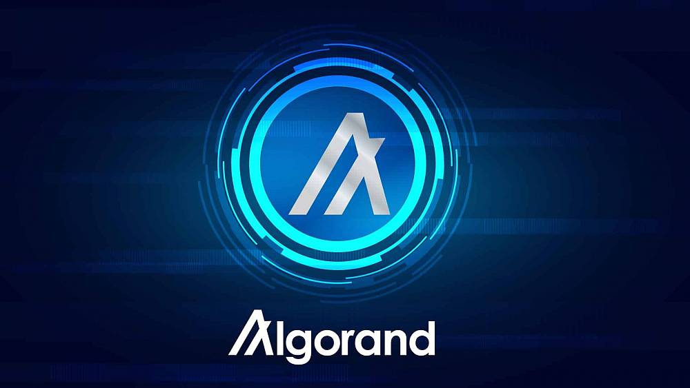 Bude projekt Algorand Googlom vo svete kryptomien?