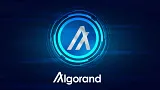 Bude projekt Algorand Googlom vo svete kryptomien?