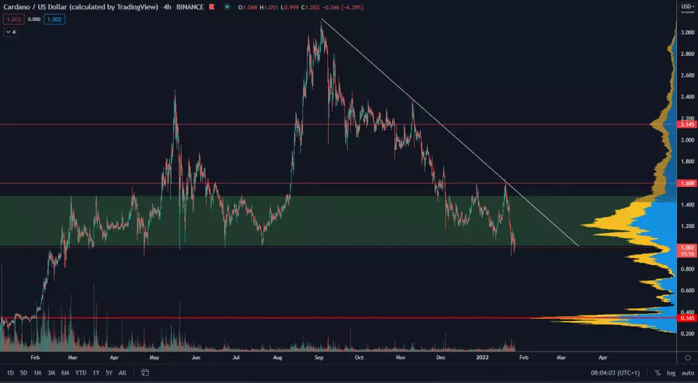 Cardano bojuje so supportom