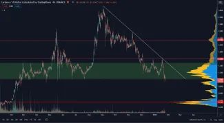 Cardano bojuje so supportom