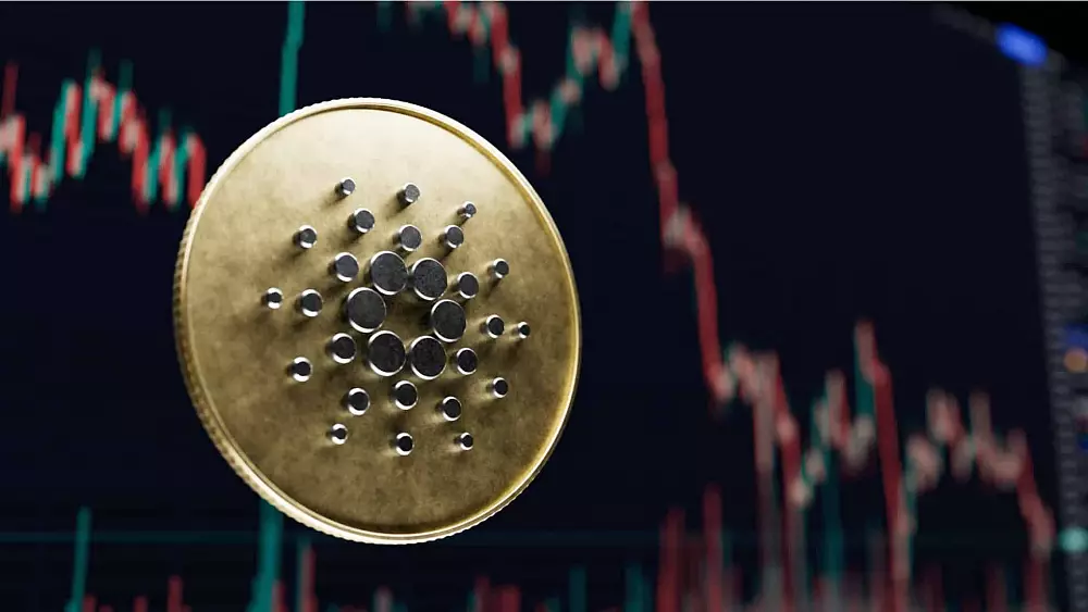 Cardano na hlavnom supporte