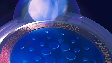 Cardano v akumulačnej zóne