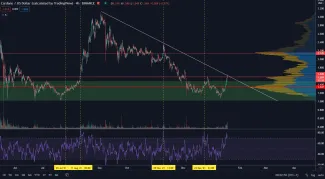 Cardano v silnom raste