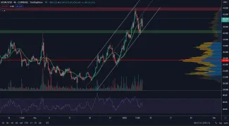 Cosmos pokraćuje v raste