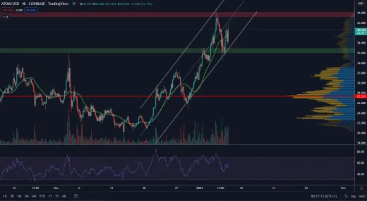 Cosmos pokraćuje v raste