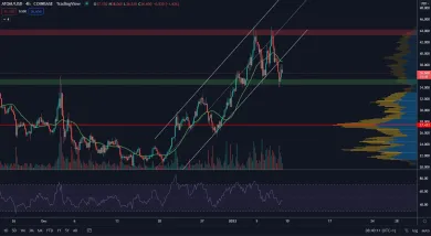 Cosmos vypadol z vlajky