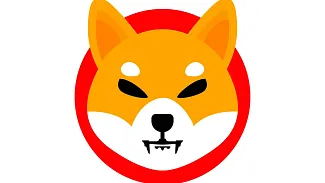 Shiba Inu prichádza s významným spaľovacím procesom