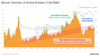 Bitcoin aktívne entity