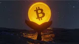 Bitcoin veľryby cítia príležitosť