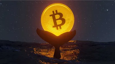 Bitcoin veľryby cítia príležitosť