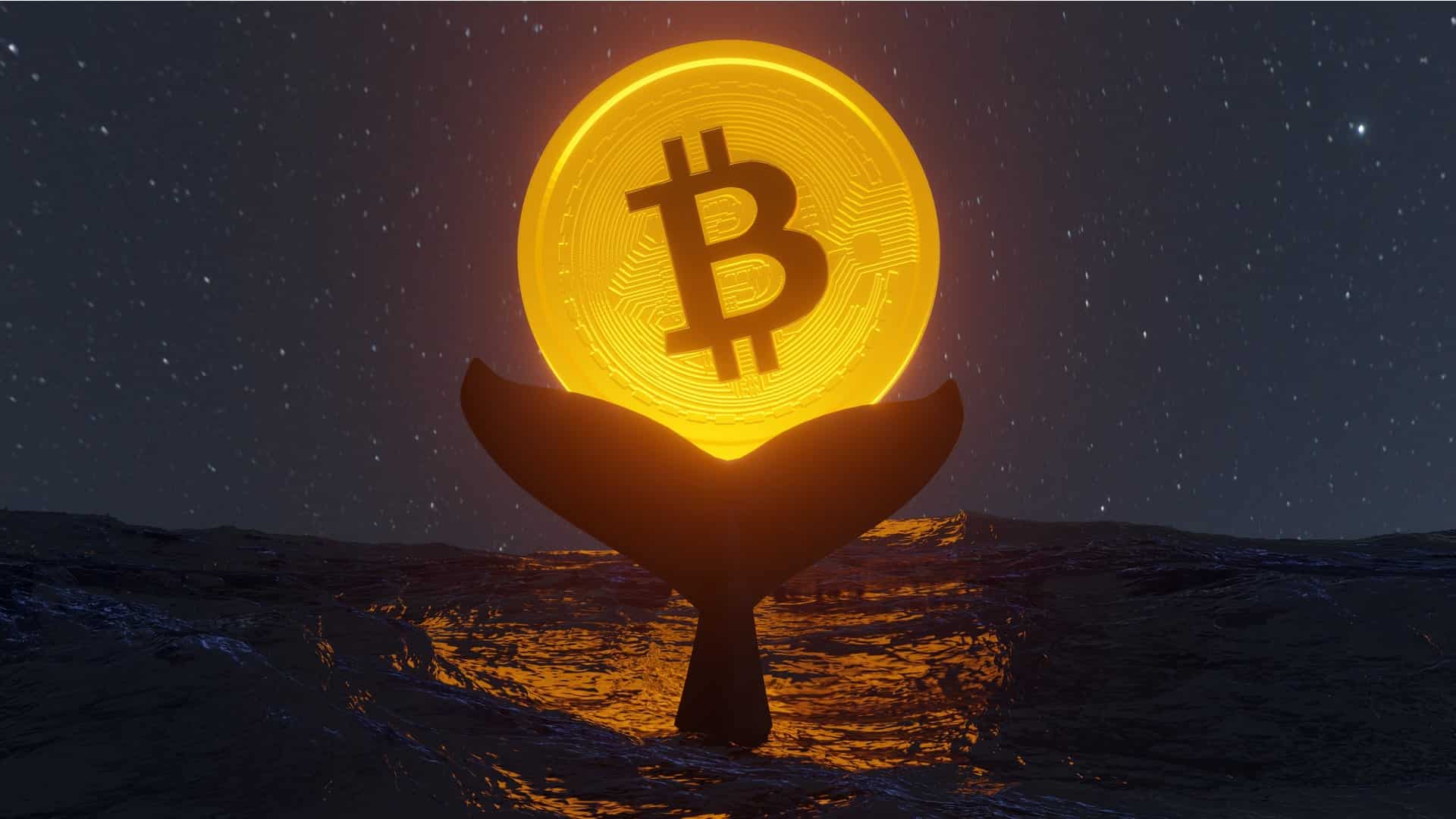 Bitcoin veľryby cítia príležitosť