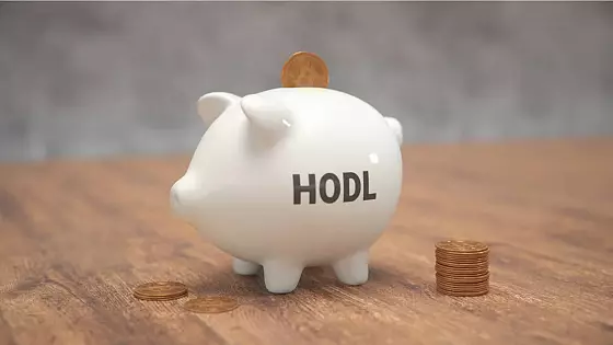 BTC hodling