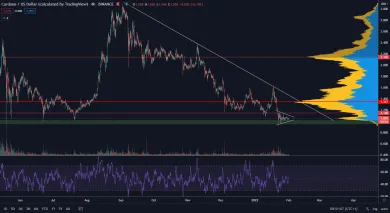 Cardano na hlavnom supporte