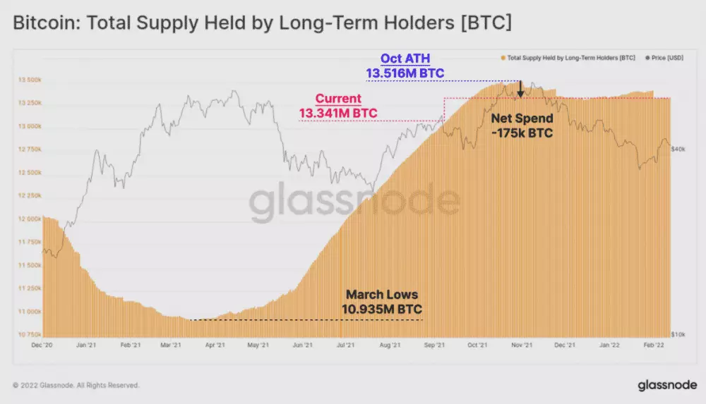 Bitcoin hodleri