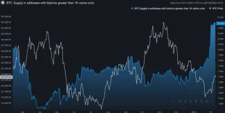 Ponuka v peňaženkách s viac ako 1 000 BTC