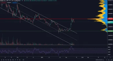 Shiba Inu na bode kontroly