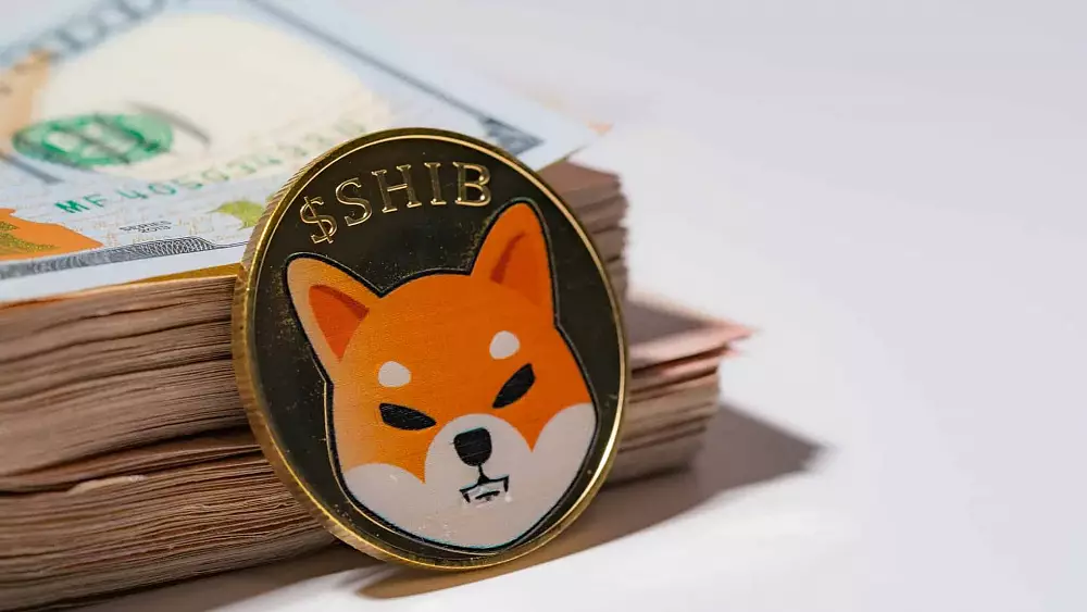 Shiba Inu narástla o 30%