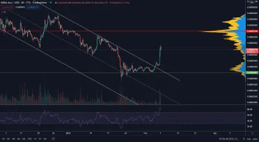 Shiba Inu narástla o 30%