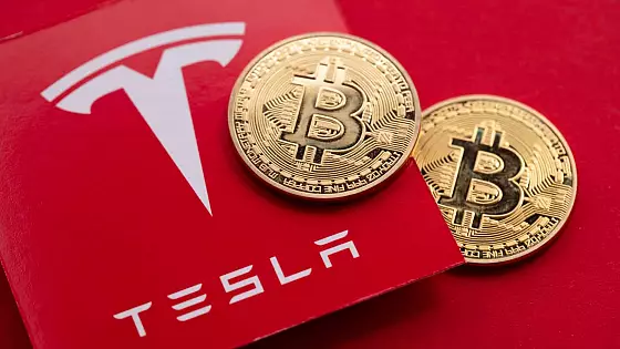 Tesla a jej držby v BTC