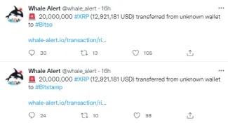 Presuny XRP na platforme Whale Alert