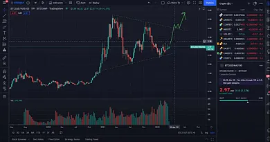 Mertonova predikcia BTC