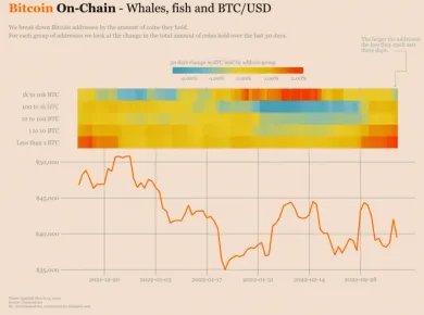 Akumulácia a distribúcia