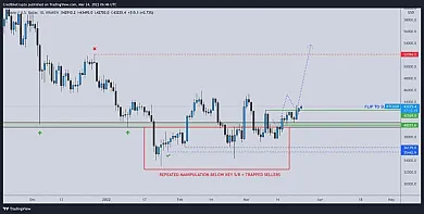Analýza profesionálneho obchodníka