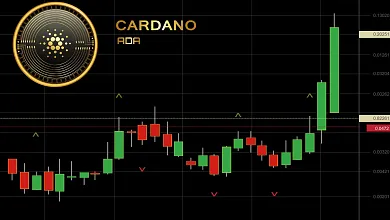 Cardano naberá na sile