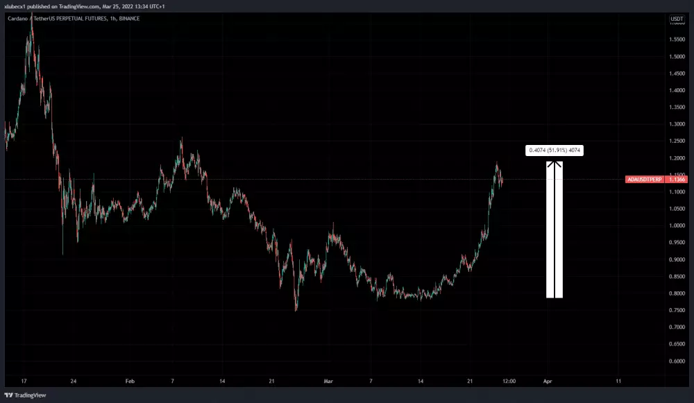 Cardano pokračuje v raste