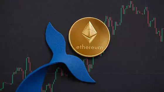 Ethereum je v hľadáčiku veľrýb