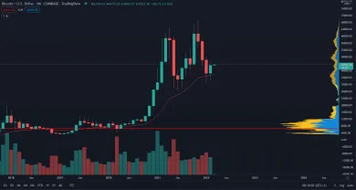 Mesačné sviečky Bitcoin. Zdroj: TradingView